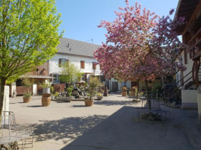 Schöne Wohnung Kleiner Onkel auf idyllischem Reiterhof nahe Burg Eltz